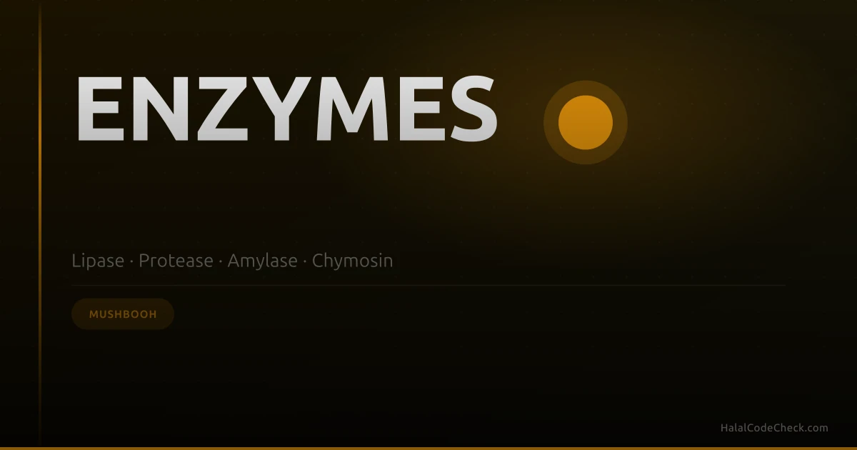 Food label showing 'enzymes' as ingredient — are food processing enzymes halal?