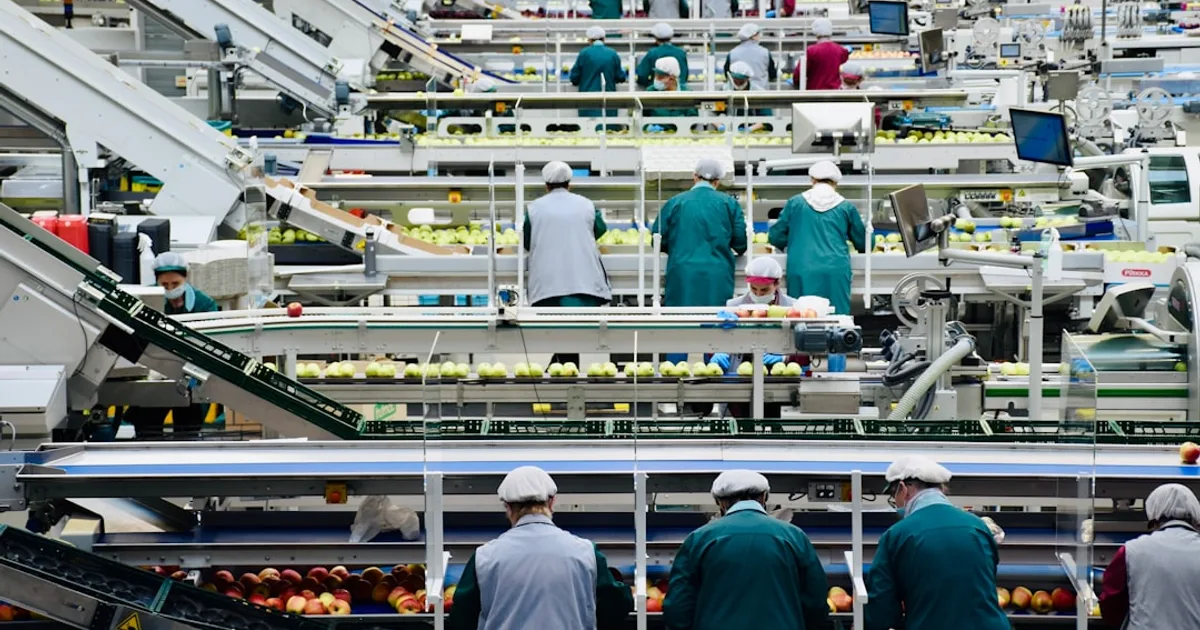 Halal certification document and certificate with HMC and HFA logos — guide for UK food businesses