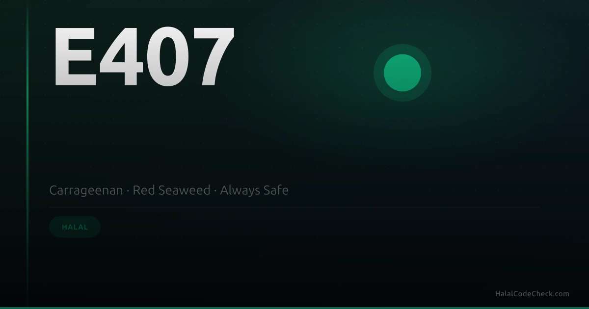 Red seaweed — carrageenan E407 extracted from seaweed, halal status confirmed