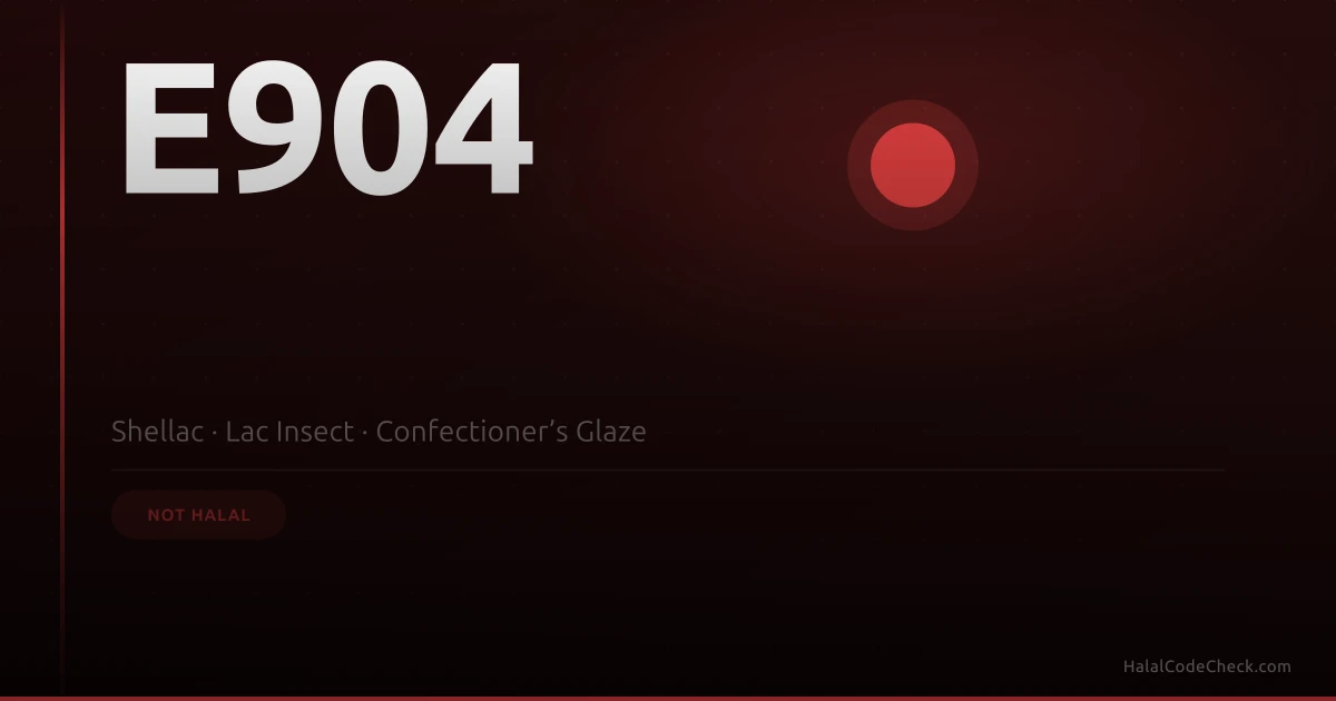 Shiny confectionery coating — shellac E904 insect-derived glazing agent halal status