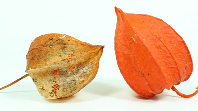 dried fruit food additives